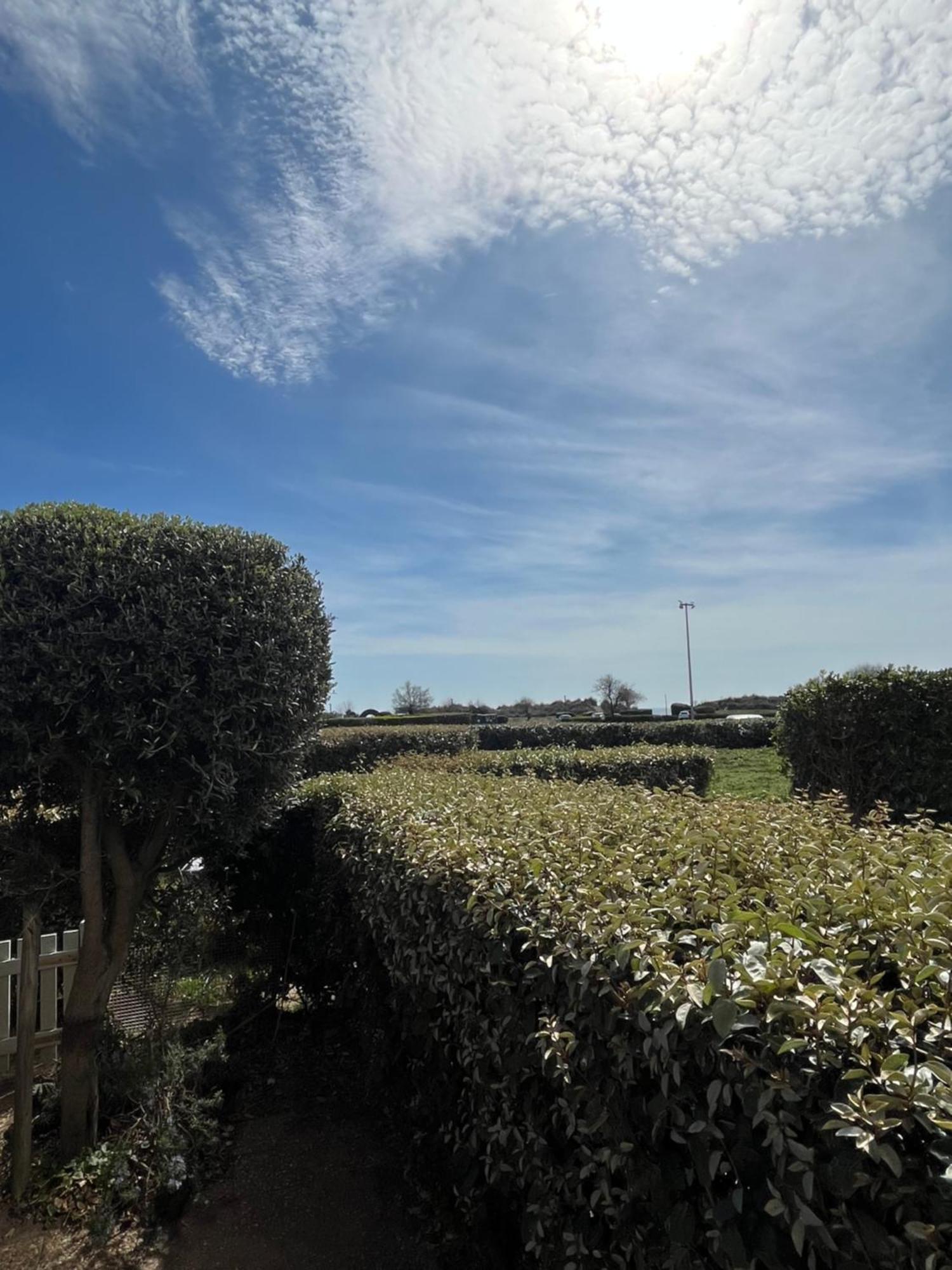 T2 - Les Pieds Dans Le Sables En Toutes Saisons 5 Couchages - Climatisation - Parking Privee - Piscine - Situation Optimum Et Rare - Amoureva - Richelieu- Cap D'agde